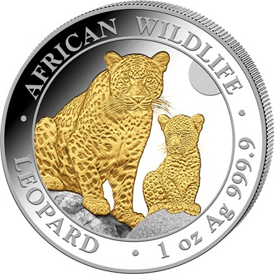 Somalia African Wildlife Leopard 1oz Silver coin 2024 - gilded | margin scheme