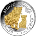 Somalia African Wildlife Leopard 1oz Silver coin 2024 gilded margin scheme