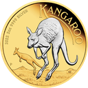 Australian Kangaroo 2oz Silver Coin 2022 - gilded | margin scheme