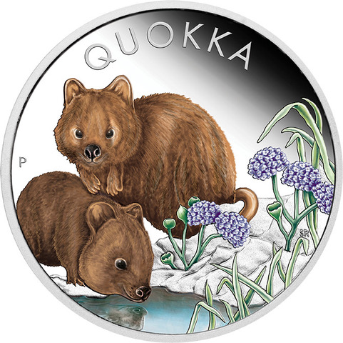 Australia Quokka 1oz silver coin 2023 coloured | Proof