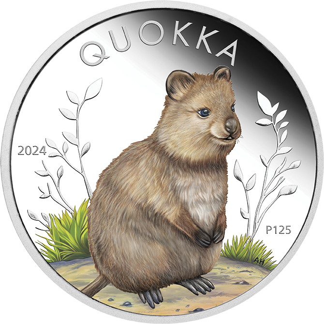 Australia Quokka 1oz Silver Coin 2024 coloured - Proof | margin scheme