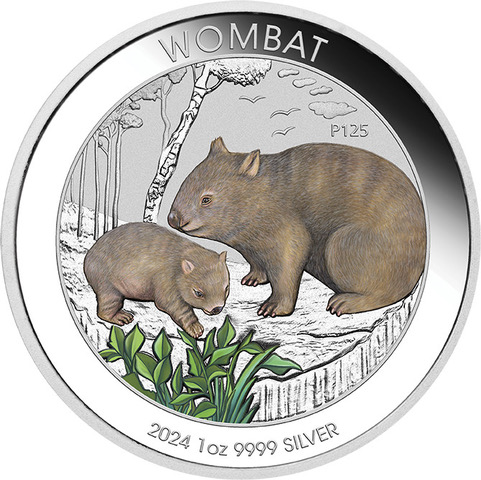 Australia Wombat 1oz Silver Coin 2024 coloured - Coincard | margin scheme