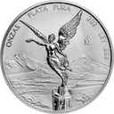 Libertad 2oz Silver Coin 2024 margin scheme