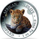Somalia African Wildlife Leopard 1oz Silver Coin 2025 | colored