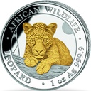 Somalia African Wildlife Leopard 1oz Silver coin 2025 | gilded