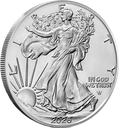 American Eagle 1oz Silver Coin 2026 | margin scheme