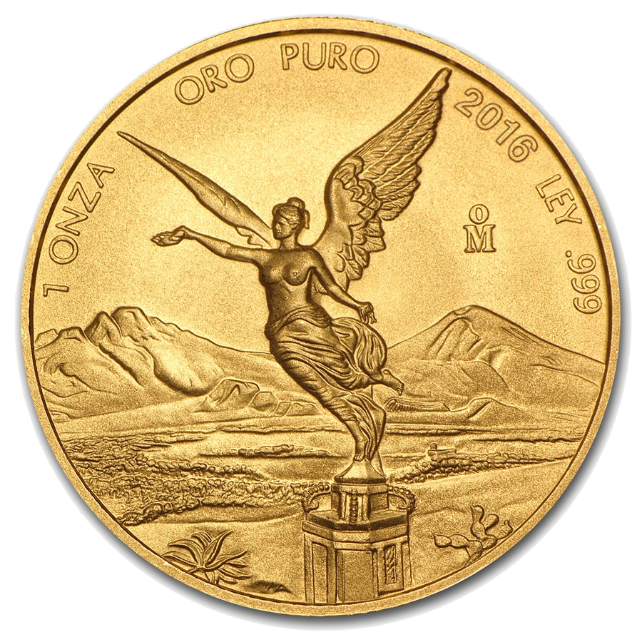 Libertad 1oz Gold Coin Mexico | different years 