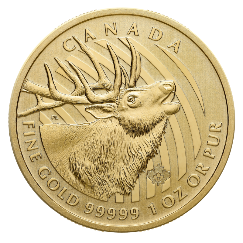 Call of the Wild "Elk" 1oz Gold Coin 2017 | .99999 | without Blister pack