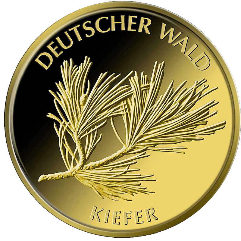 20 Euro German Forest Pine 1/8oz Gold 2013 (F)