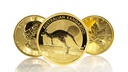 Gold Coins by Series
