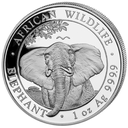 Somalia Elephant 1oz silver coin 2021 | margin scheme