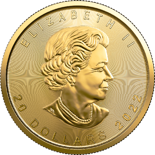 [104263] Maple Leaf 1/2oz Gold Coin 2022