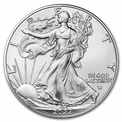 [21844] American Eagle 1oz Silver Coin 2022 - margin scheme