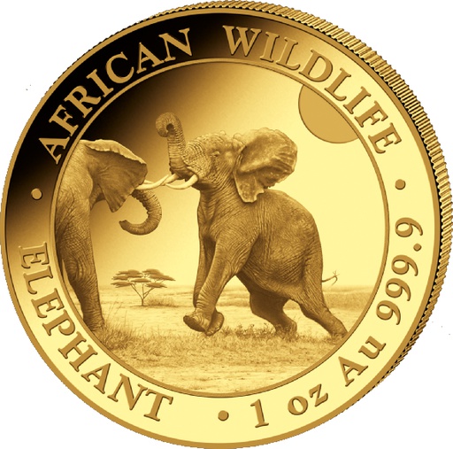[13124] Somalia Elephant 1oz Gold Coin 2024