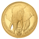 South Africa Big Five - Elephant 1 oz Gold Coin 2023 