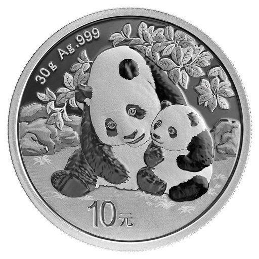 [20696] China Panda 30g Silver Coin 2024 margin scheme