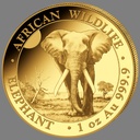 Somalia Elephant 1oz Gold Coin 2025