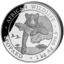 African Wildlife Leopard 1kg Silver Coin 2020 margin scheme