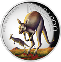 Australian Kangaroo 1oz Silver Coin 2022 coloured  Proof -  High Relief margin scheme