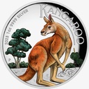 Australian Kangaroo 1oz Silver coin 2023 coloured Proof - High Relief