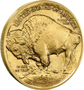 American Buffalo 1oz Gold Coin 2026